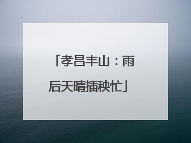 孝昌丰山：雨后天晴插秧忙